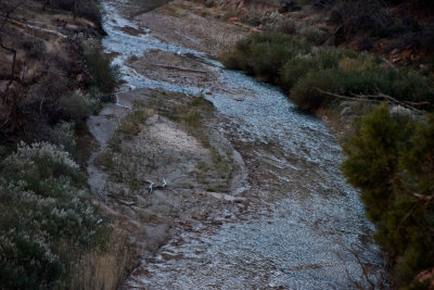 CRW_3482.jpg