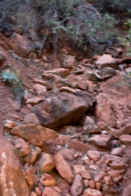 CRW_3496.jpg