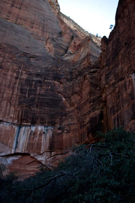 CRW_3540.jpg