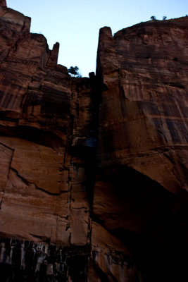 CRW_3545.jpg