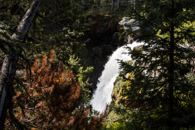 Lewis Falls
