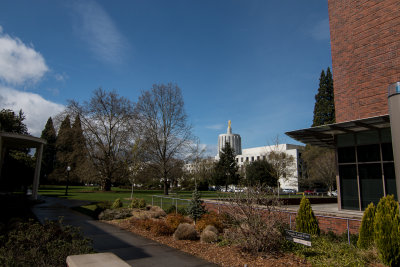 IMG_5214.jpg