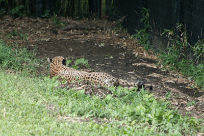 IMG_6744.jpg