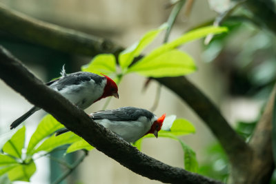 IMG_6810.jpg