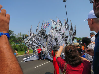 IMG_0172.jpg