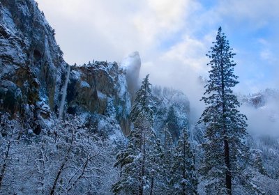0021 Bridalveil W.jpg