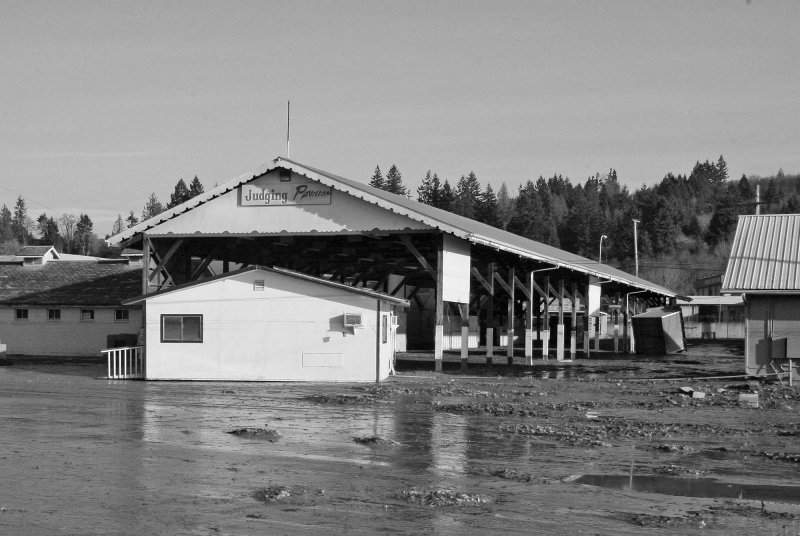 December 2007 Flood, Sheriffs Building in Show arena