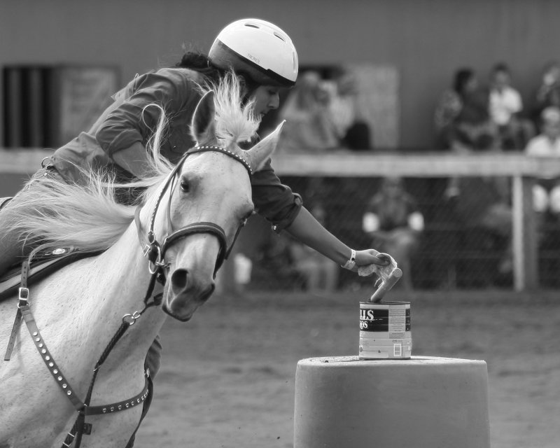Alicia vonSeggern running flags at the 2009 Fair