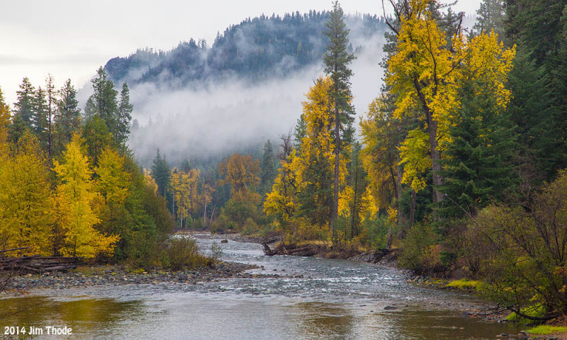 Fall Colors - American River
