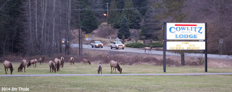 Packwood, WA