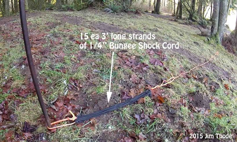 Forked Tree #2   The Bungee