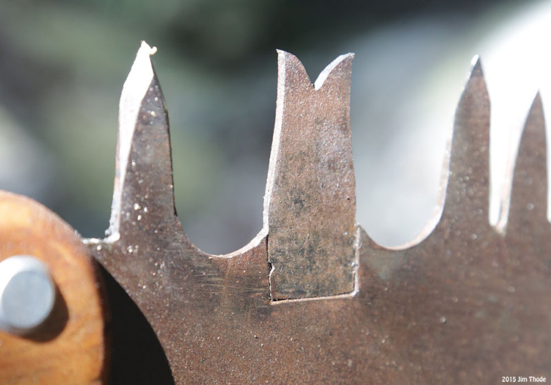 Replaced raker tooth