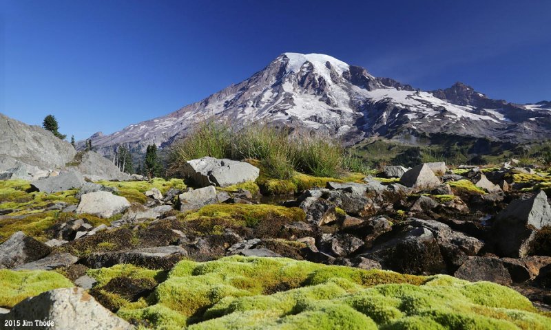 Mt Rainier from Pinnacle Glacier Tarn Outlet