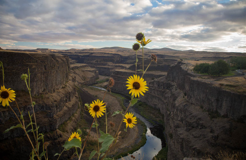 Palouse River