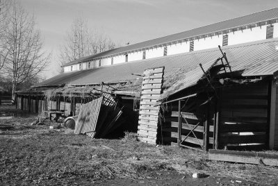 December 2007 Flood,  Horse Barn 