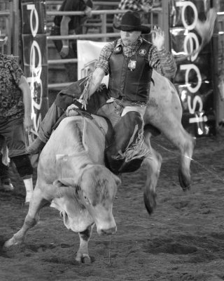 Bull Rider at the 2013 South Sound Bull Bash
