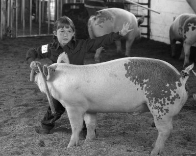 Stacy Vint Showing her pig - 2006
