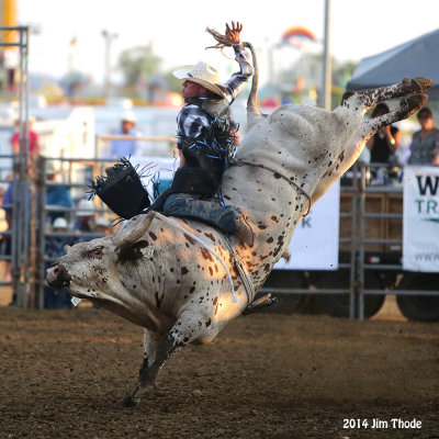 2014 Twin Cities Bulls and Barrels Challenge at the SWW Fair