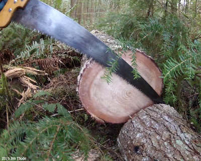 Cut a 11 Frozen Log - About 4 minutes