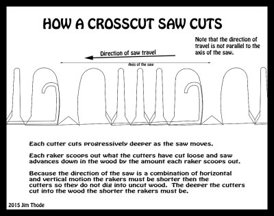How a Crosscut Saw Cuts