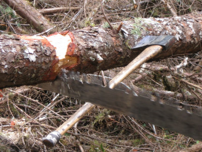 Underbucking on a bare axe handle