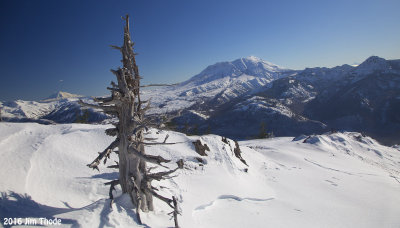 Mt Adams, Mt St Helens and Mt Hood