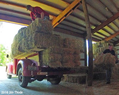 Hauling hay