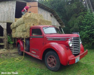 Hauling hay