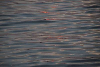 Water's Surface