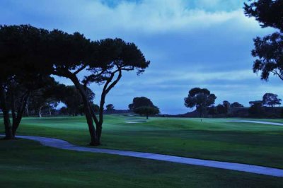 Beautiful Fairway Vista