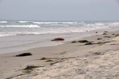 The Pacific