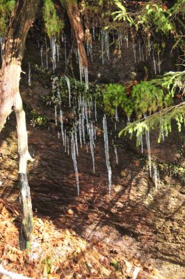 Icicles On The Cliff 