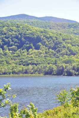 Belvidere Pond Looking Up To Mountain