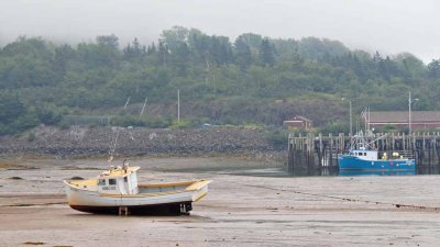 Digby Neck Lowtide