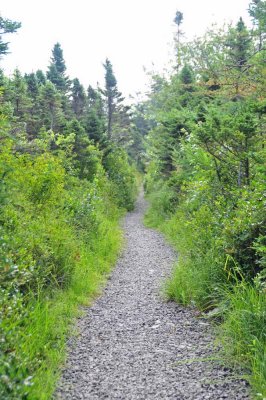 Balancing Rock Path