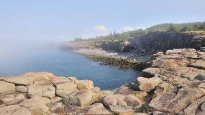 Prim Point Shoreline