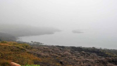 Hiking towards the Seal Colony on Brier Island