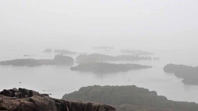 Rocks or seals in the fog?