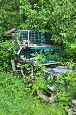 Lobster Pots at Hampton