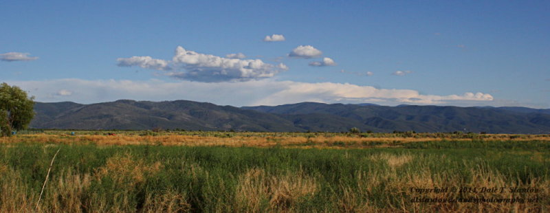 Mountain Pano - IMG_0874.JPG