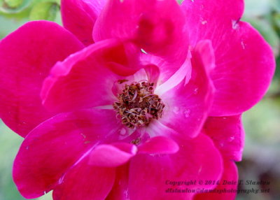 g9/18/513218/3/155694694.T9TGt56s.jpg
