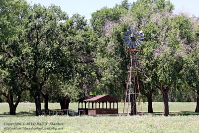 Windmills Of Texas