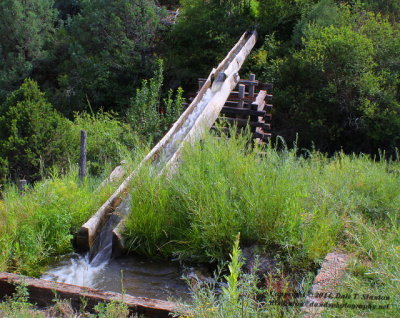 Log Flume - IMG_1255.JPG