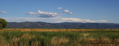Mountain Pano - IMG_0874.JPG
