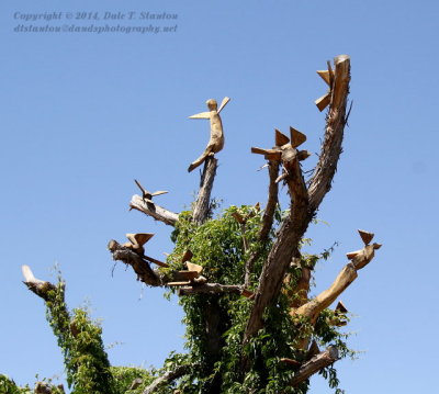 Carved Birds - IMG_1073.JPG