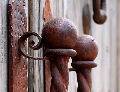 Handle - IMG_1177.JPG