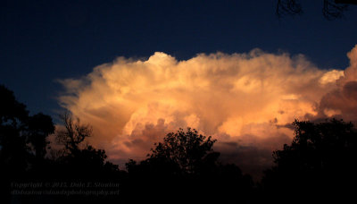 Anvil - IMG_6285.JPG