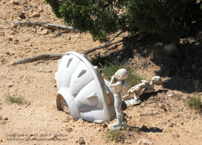 UFO Crash - IMG_7778.JPG