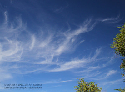 Cirrus & Plane - IMG_9716.JPG