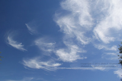 Cirrus Race - IMG_9669.JPG